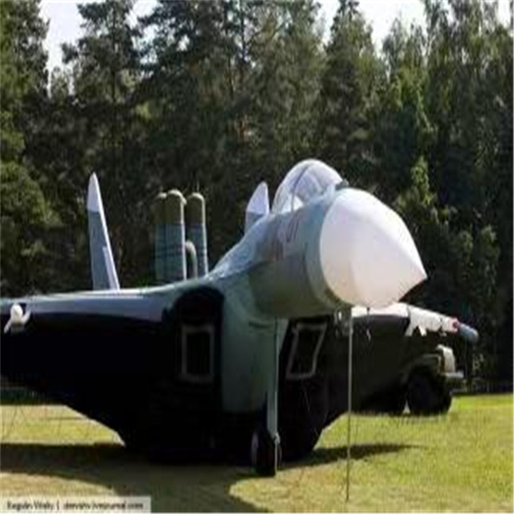 罗甸充气模型飞机制造商家